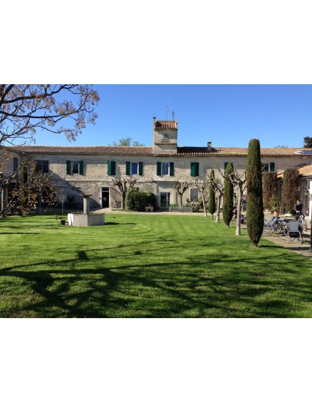 un MAS en PROVENCE is a farmhouse and distillery in PROVENCE